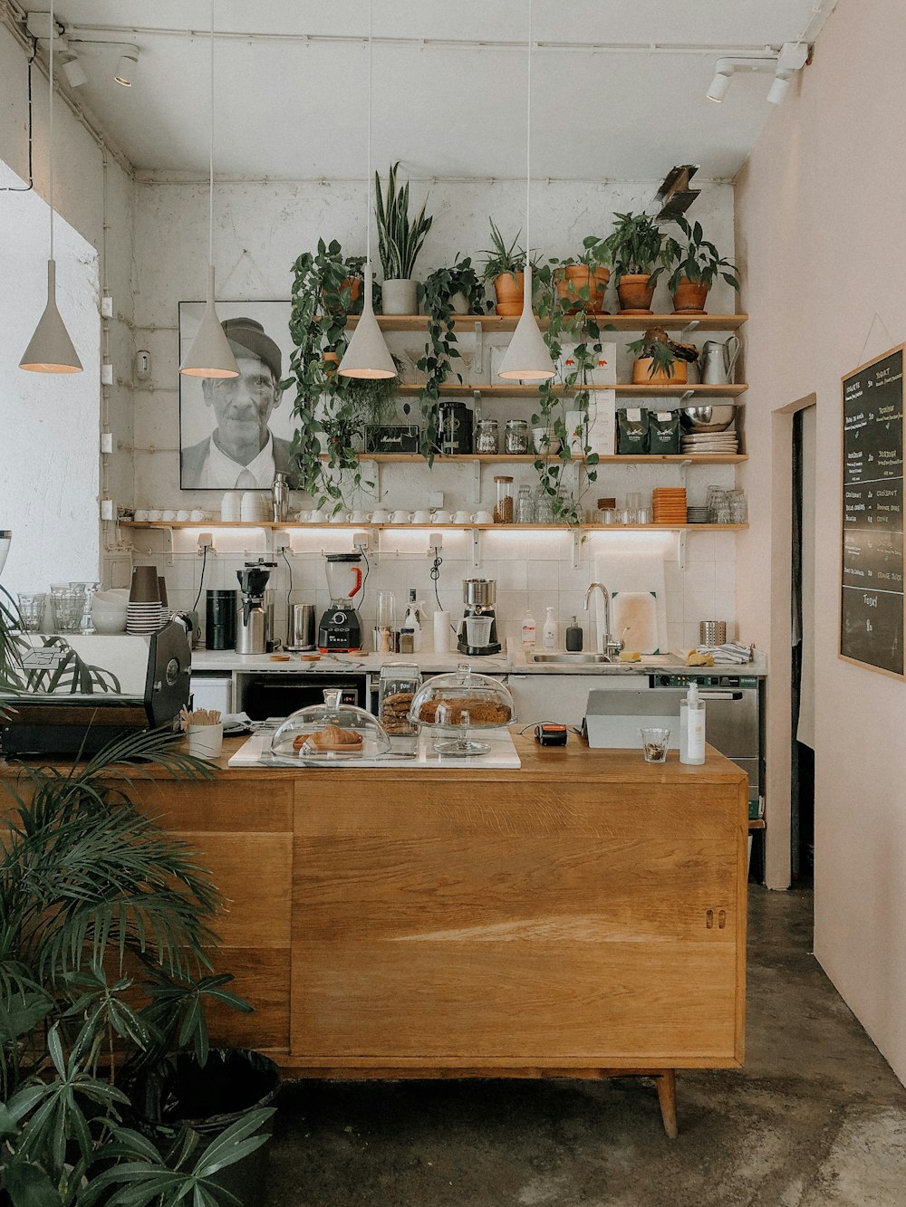 Mueble de cocina de madera marrón con plantas verdes