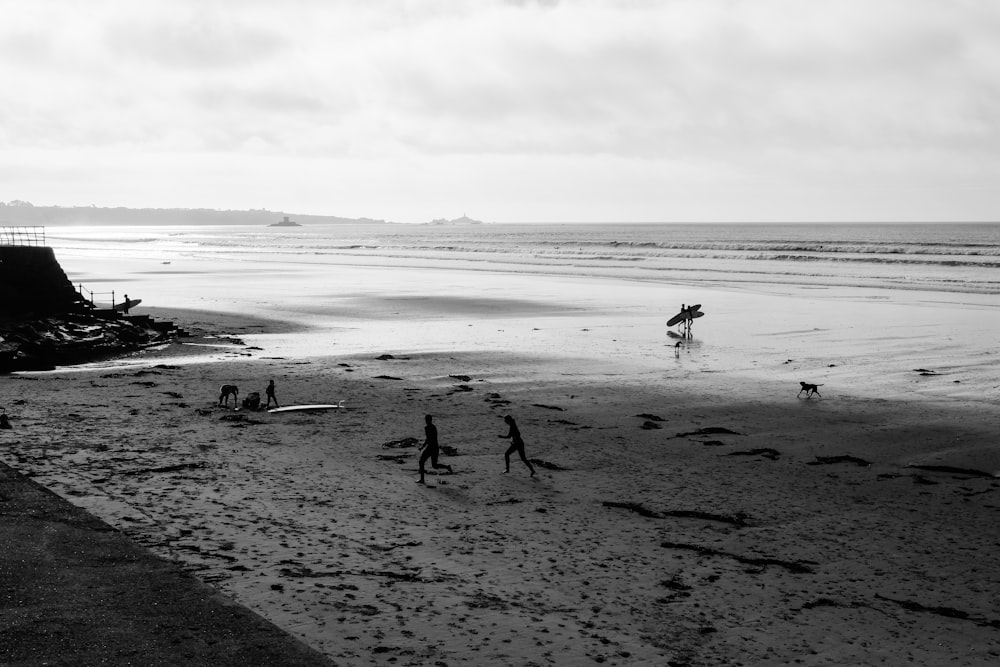 personnes marchant sur la plage pendant la journée