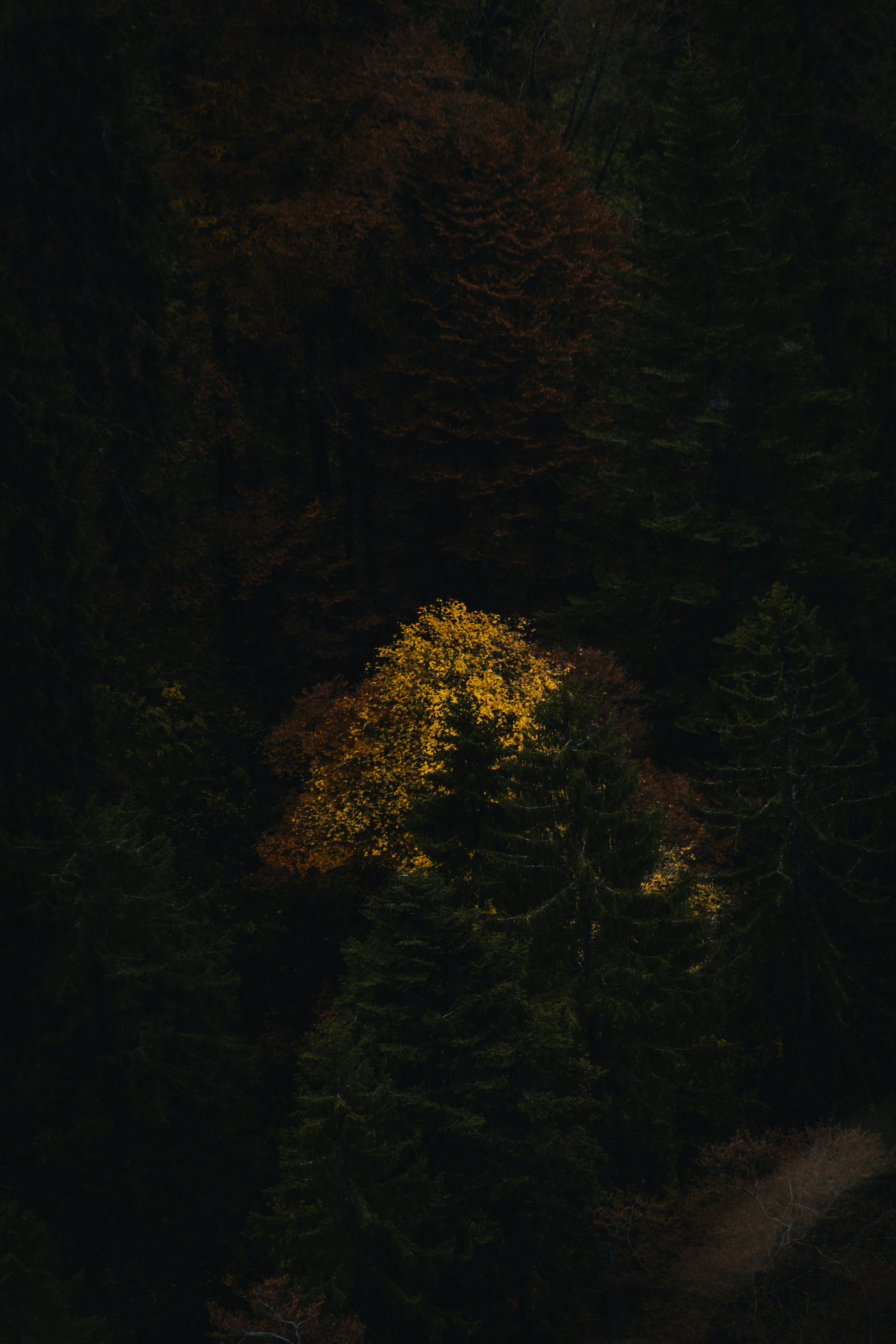 Why Most Innovation Training Programs Waste Money