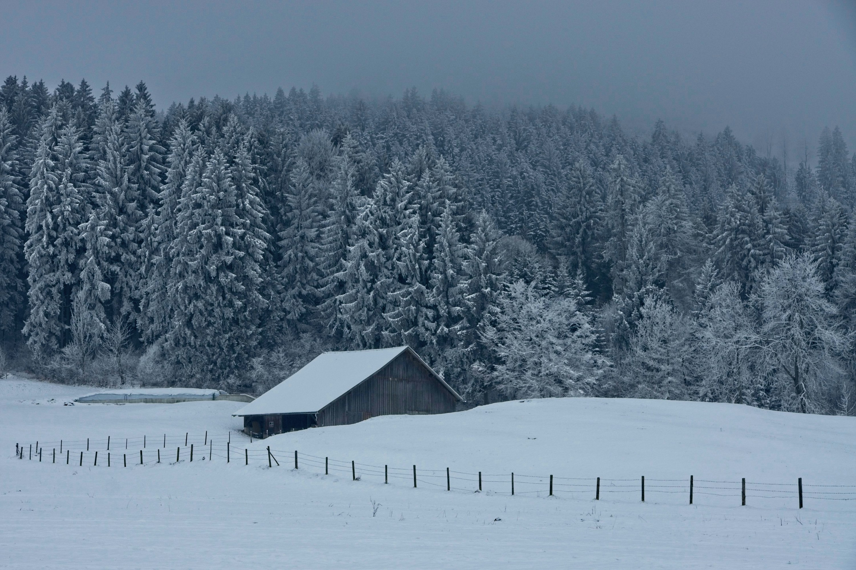 Photo by michaelroesch