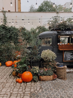 A rustic coffee trailer surrounded by pine trees with soft glowing lanterns and a campfire nearby.