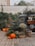 A quaint outdoor setting featuring a vintage food truck surrounded by lush greenery and a variety of pumpkins and plants. String lights hang above, adding a warm, inviting ambiance. A chalkboard menu displays coffee options, and a burlap sack adds a rustic touch to the decor.