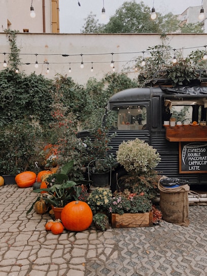 A rustic coffee trailer surrounded by pine trees with soft glowing lanterns and a campfire nearby.