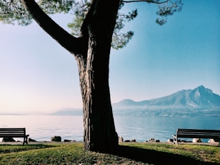 silhouette of bench near body of water during daytime