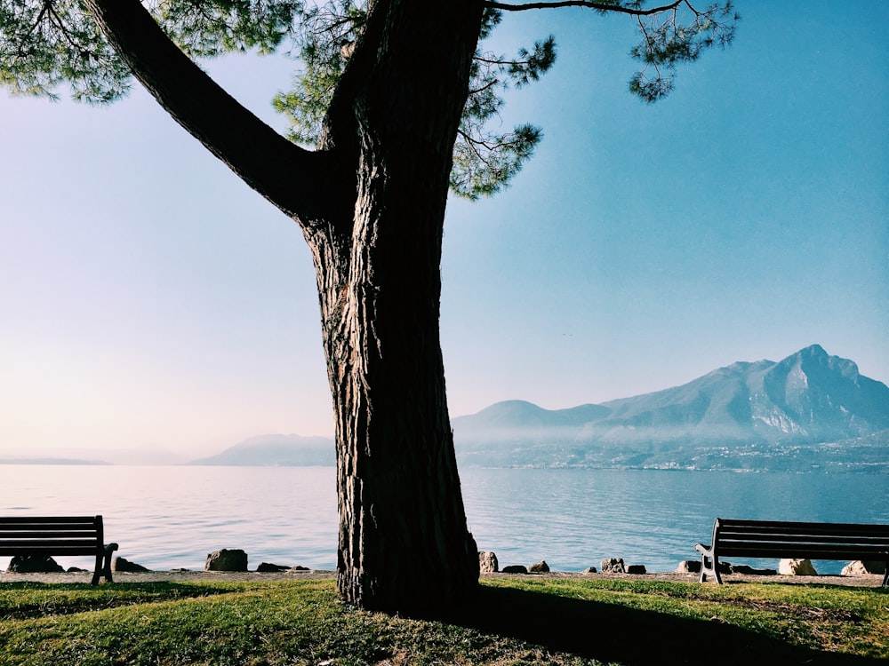 silhouette of bench near body of water during daytime