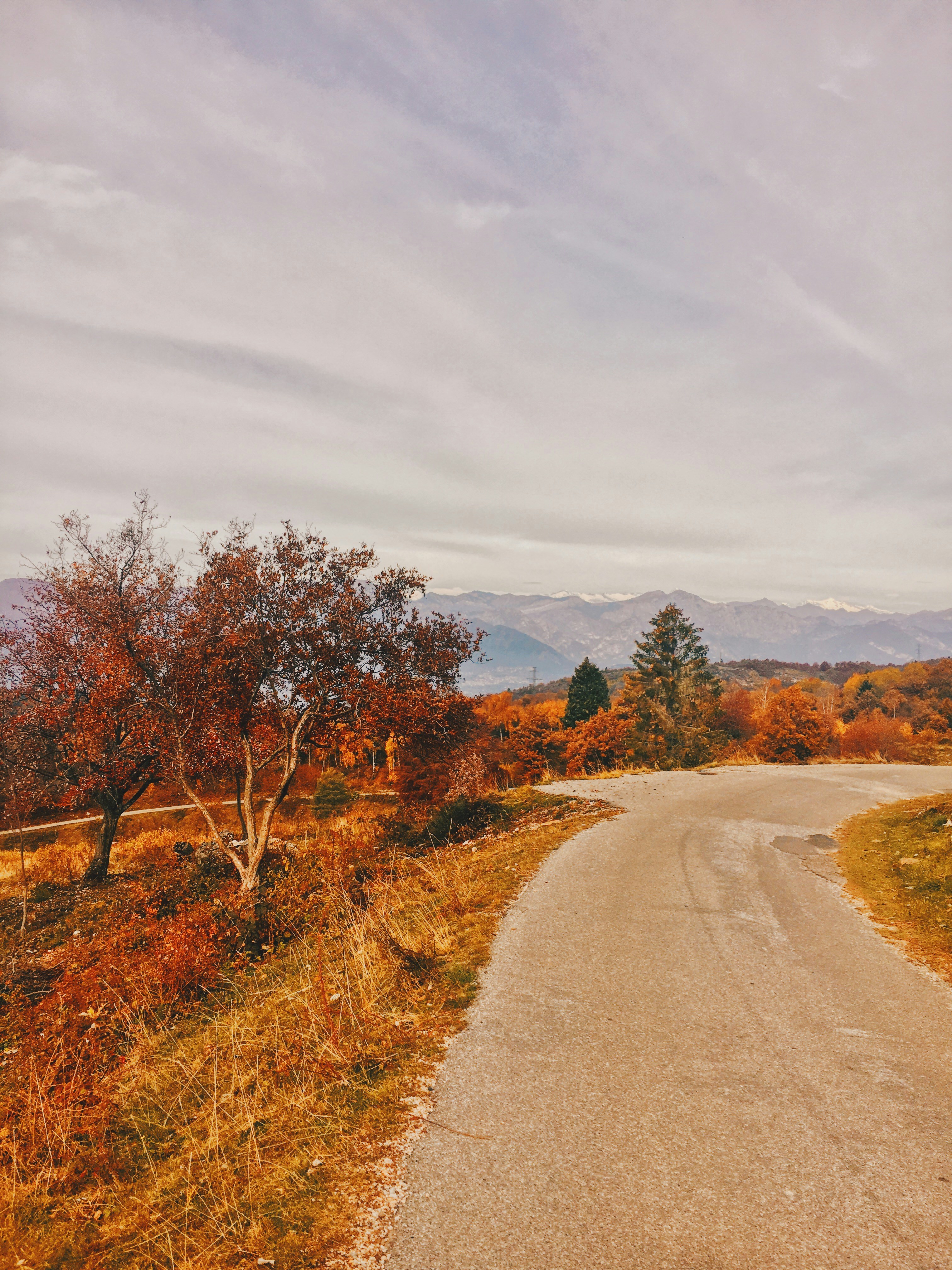 Photo by michaelmartinelli