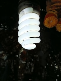 A spiral-shaped fluorescent light bulb is prominently displayed, glowing brightly against a dark background. In the faintly illuminated backdrop, there are blurry, warm-colored flowers, which add subtle detail to the image.