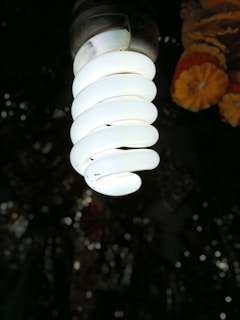 A spiral-shaped fluorescent light bulb is prominently displayed, glowing brightly against a dark background. In the faintly illuminated backdrop, there are blurry, warm-colored flowers, which add subtle detail to the image.