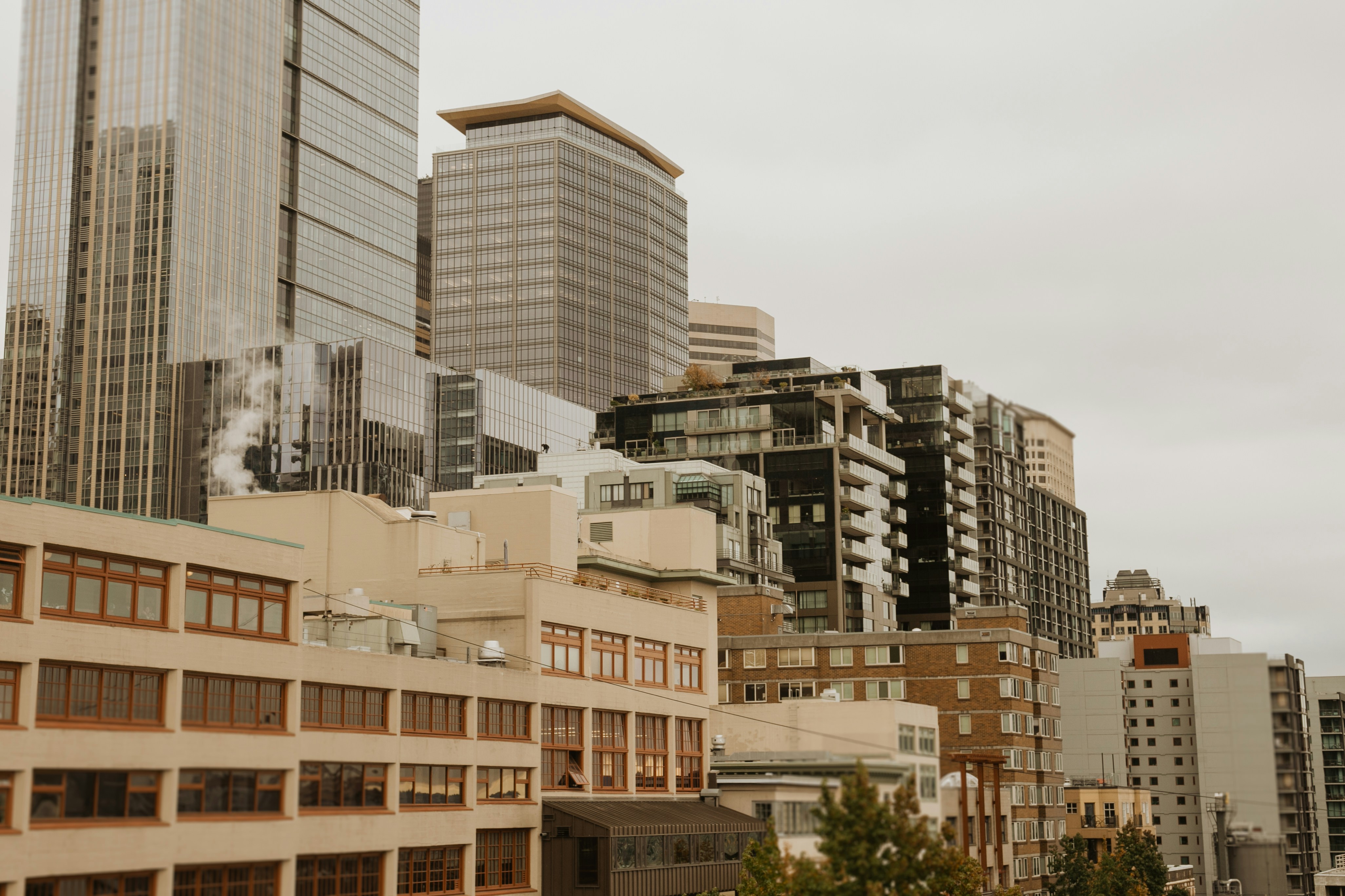 Photo by toriwisephoto