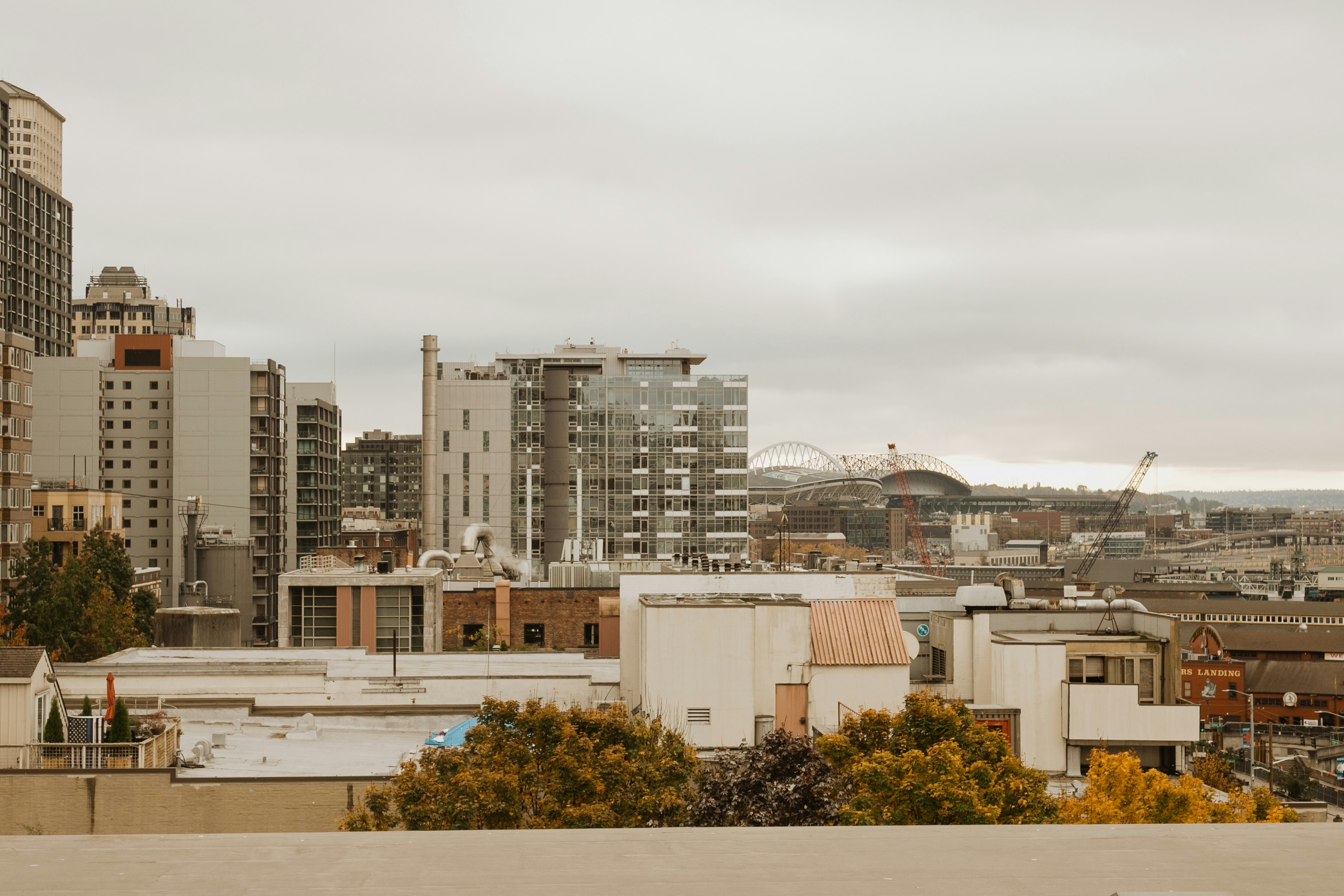 Photo by toriwisephoto