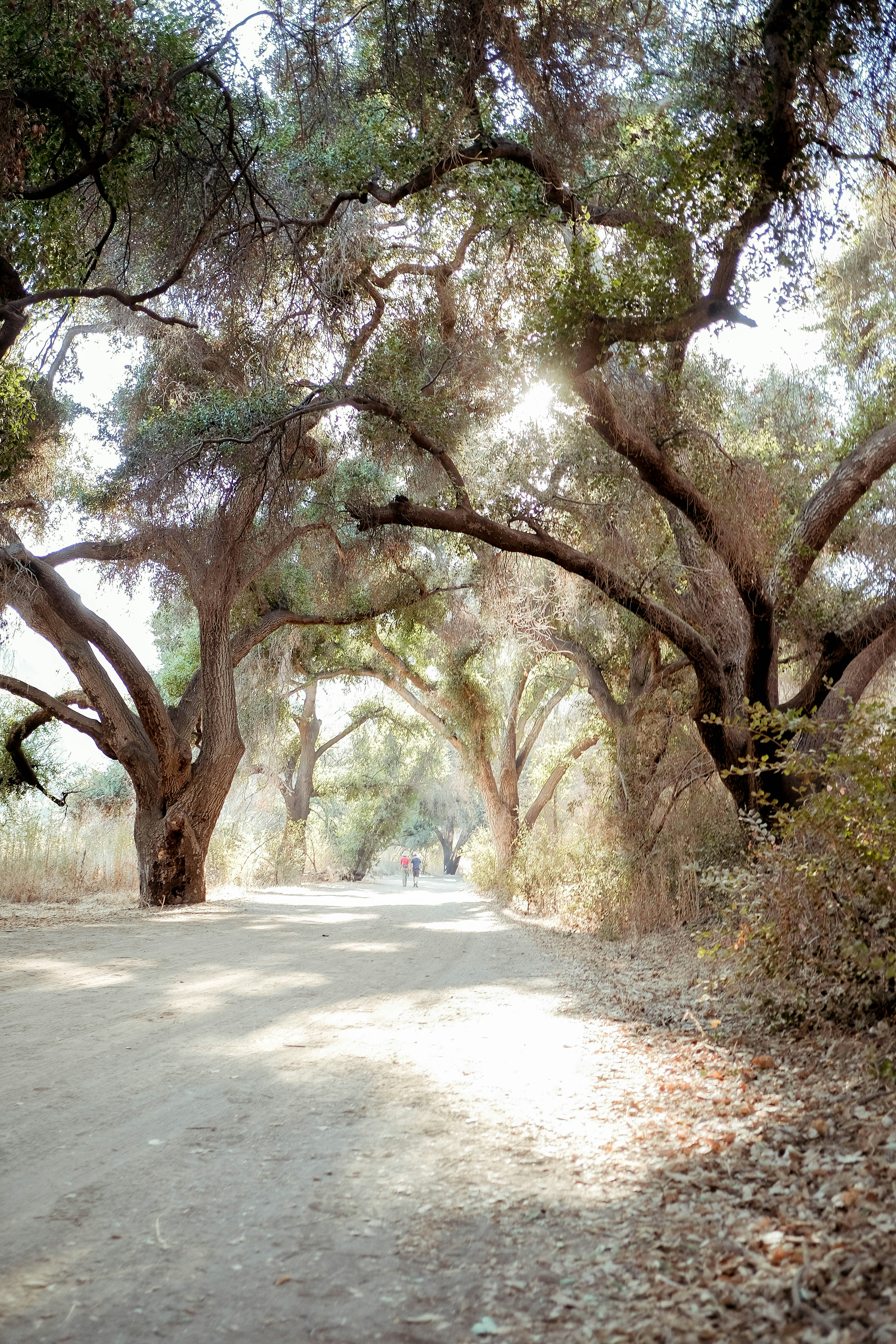 Photo by davidgaviphoto