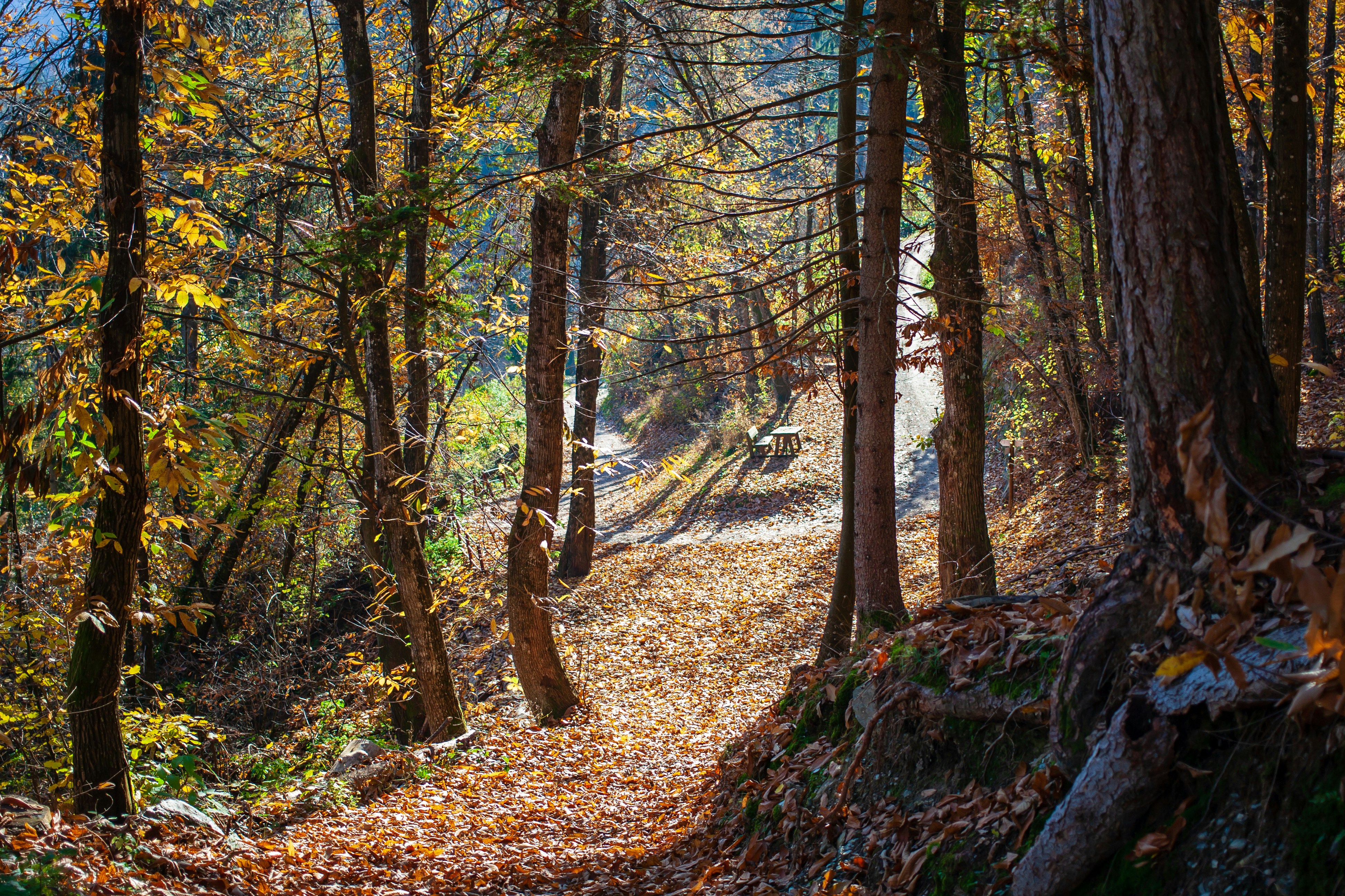 Photo by photoroutes