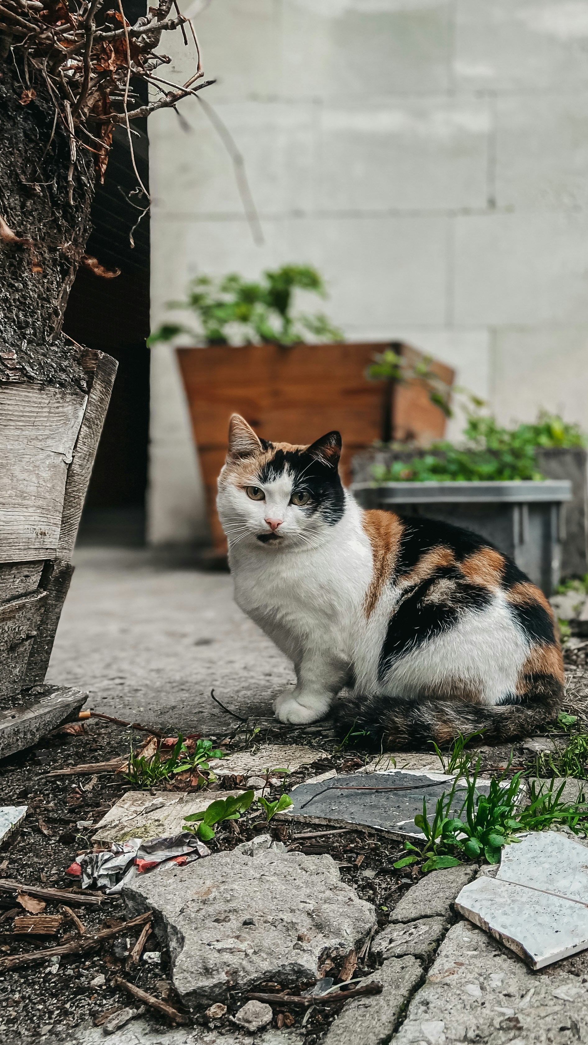 Photo by eugenechystiakov