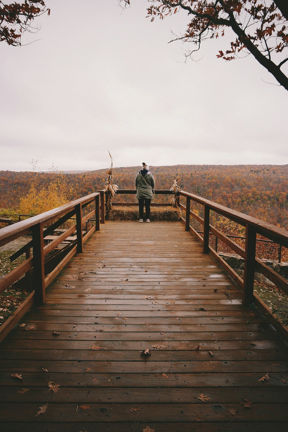 femme marchant sur un pont en bois pendant la journée