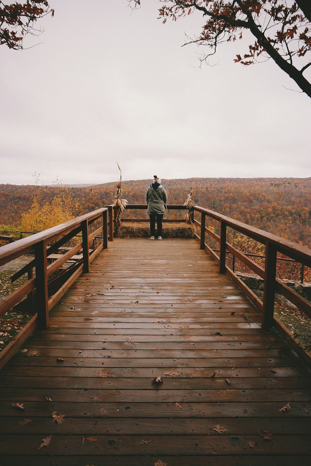 woman walking on wooden bridge during daytime