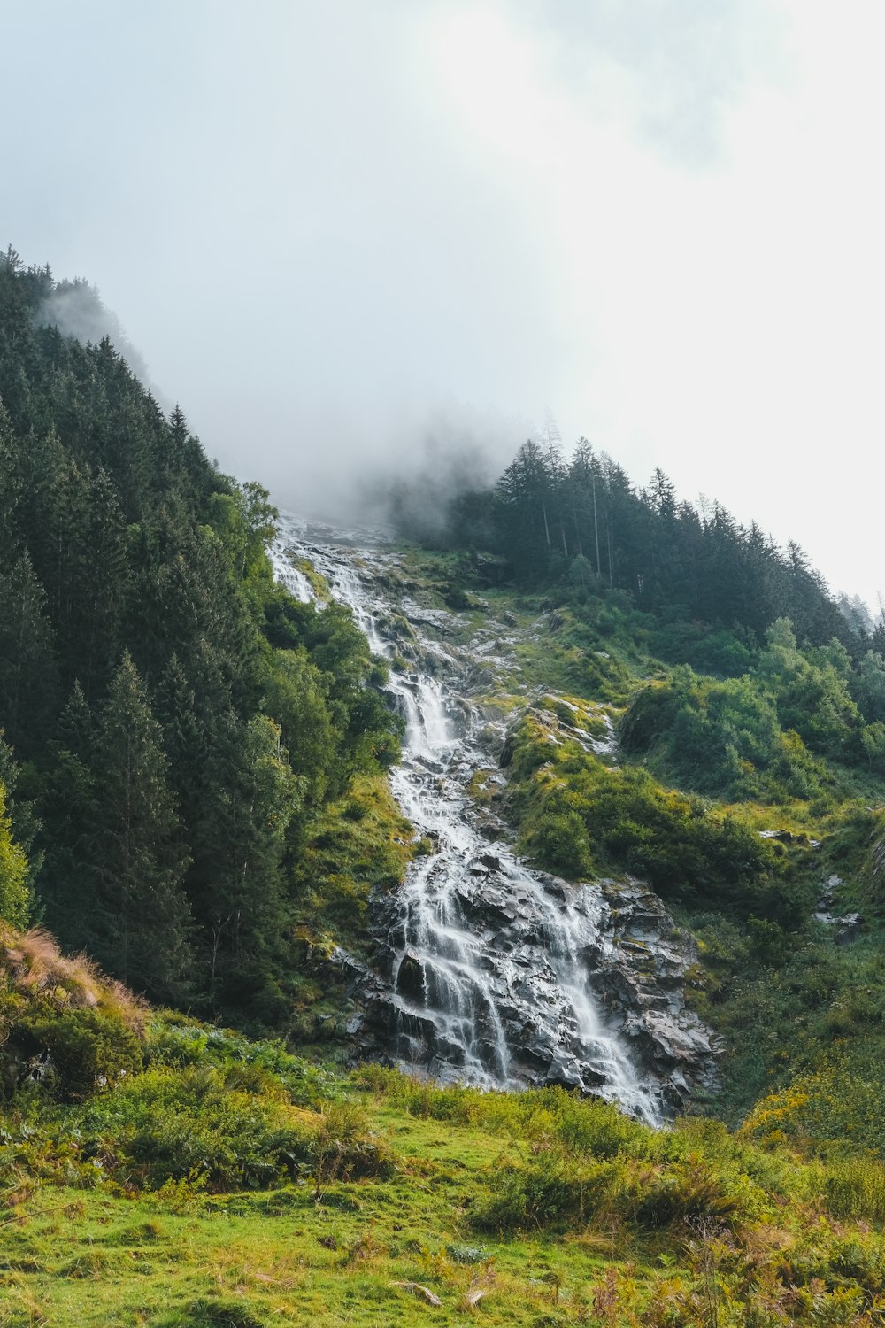 green trees on mountain under white sky during daytime