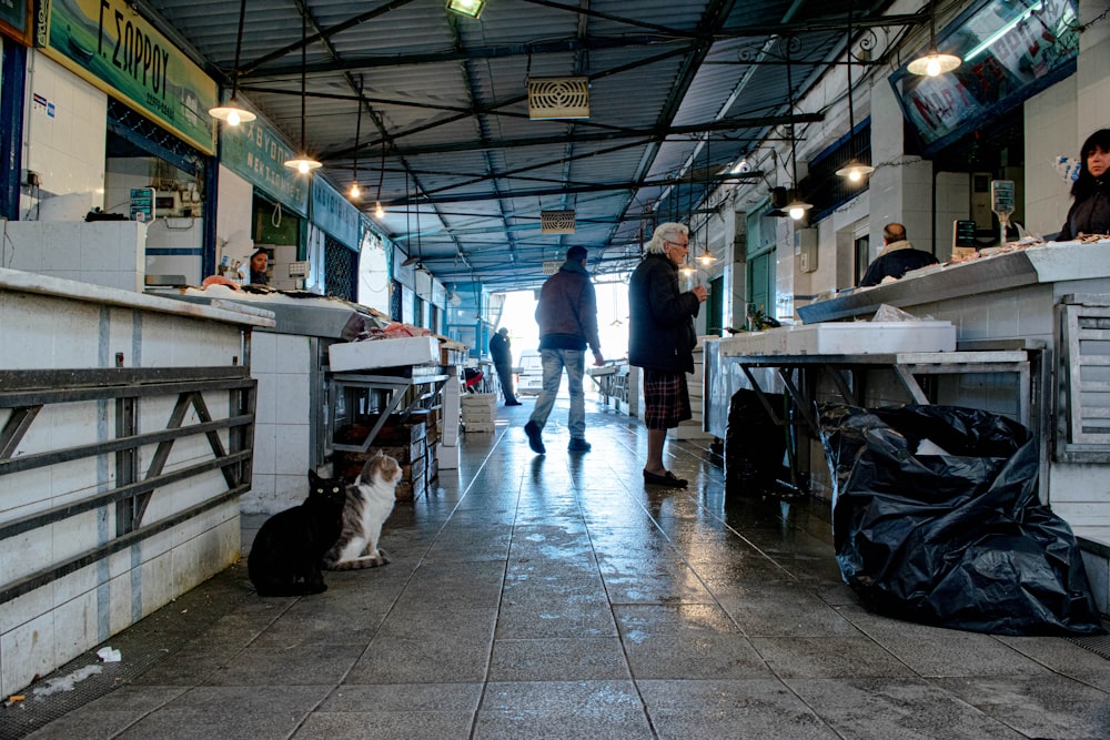 man in blue shirt standing beside white and black dog