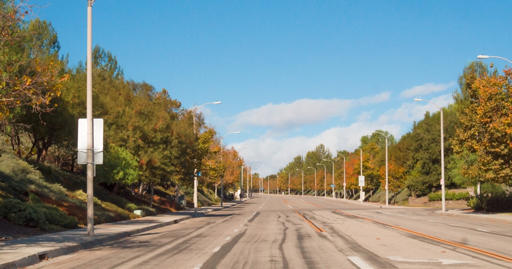 Carretera de asfalto gris entre árboles verdes bajo cielo azul durante el día