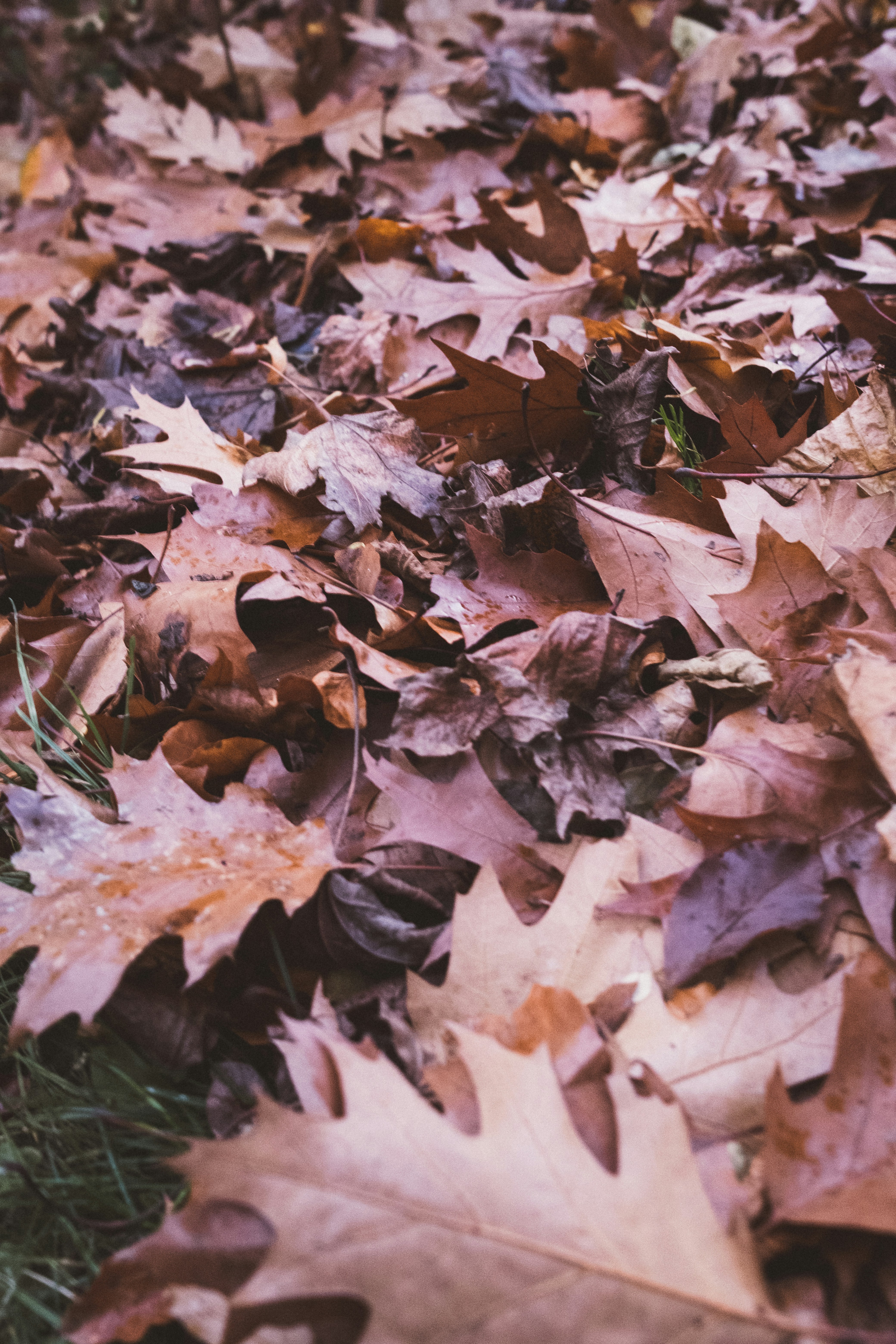 Photo by hanneskrupinski