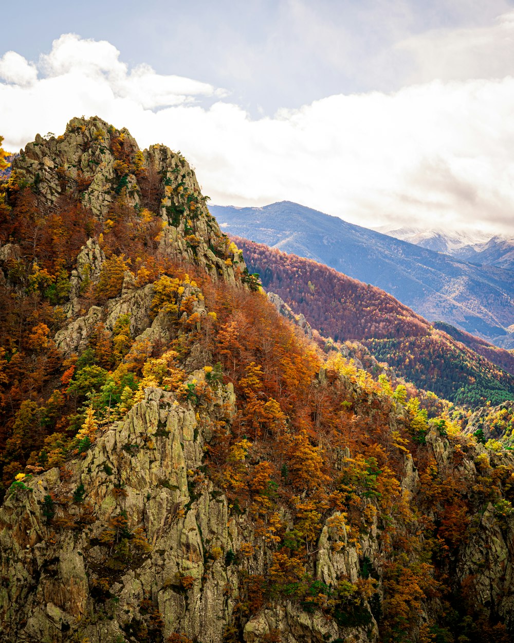 green and brown trees on mountain under white clouds during daytime