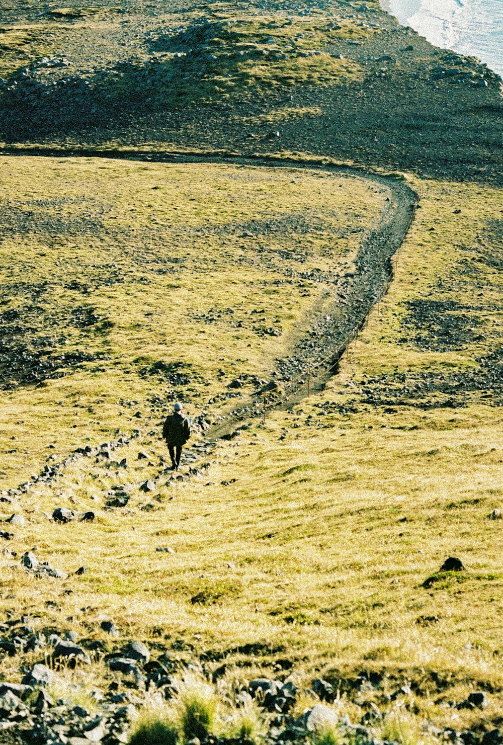 person walking on brown field during daytime