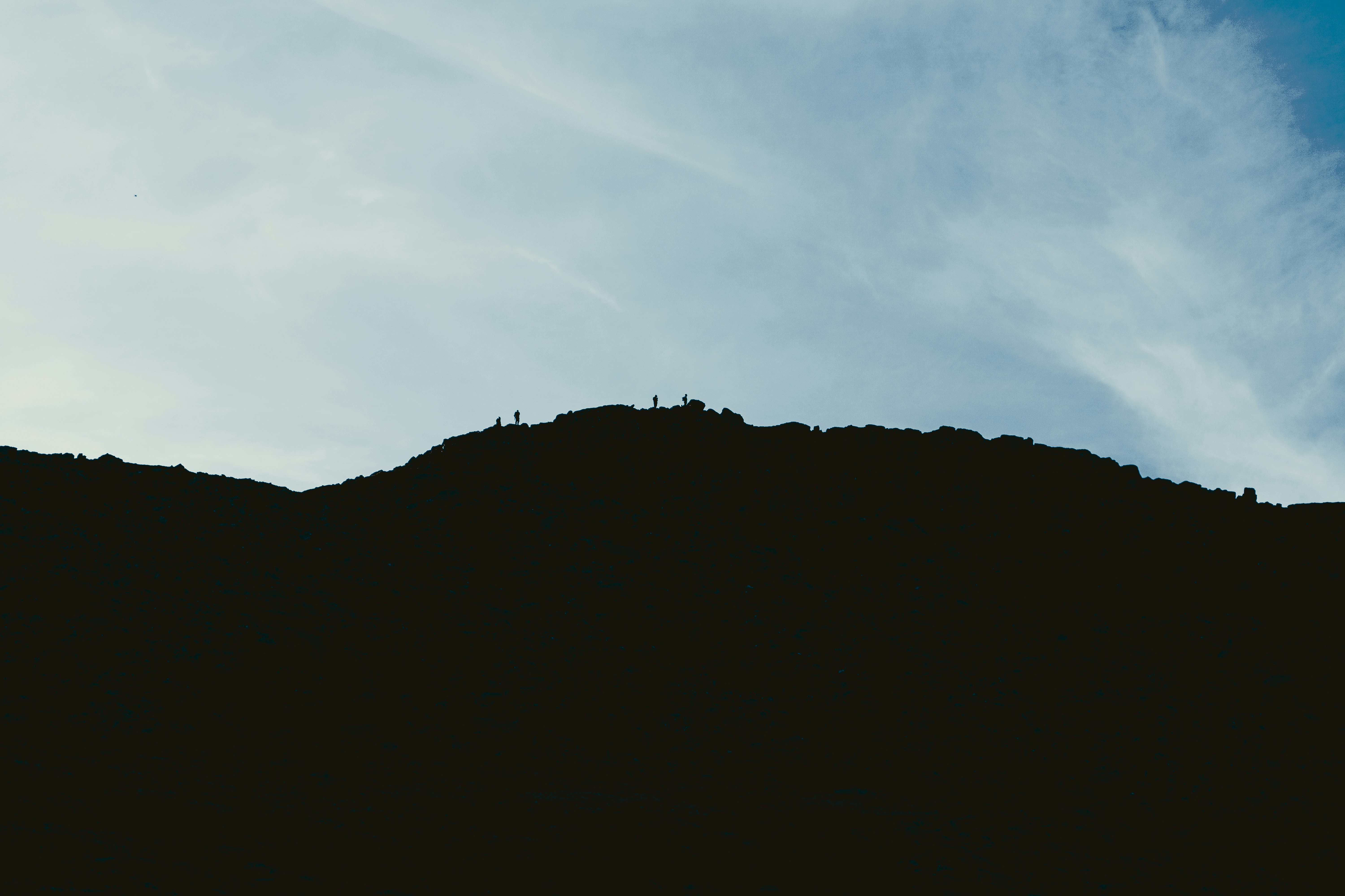 CP DOM-BUD Cezary Puk