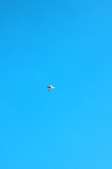 A small airplane is flying high in the sky against a clear blue background. The plane appears to be a light aircraft with a simple design.