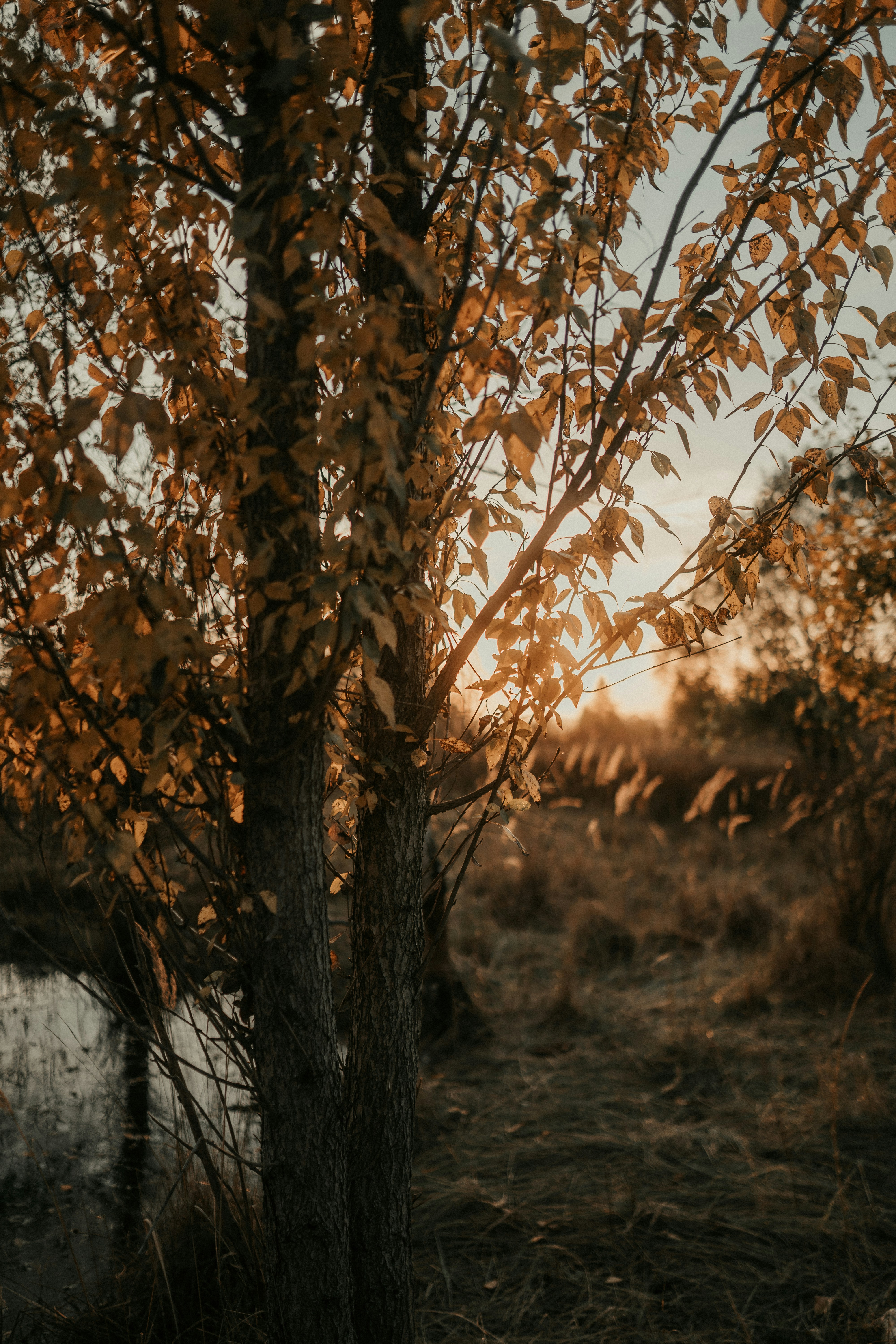 Photo by luiseandnic