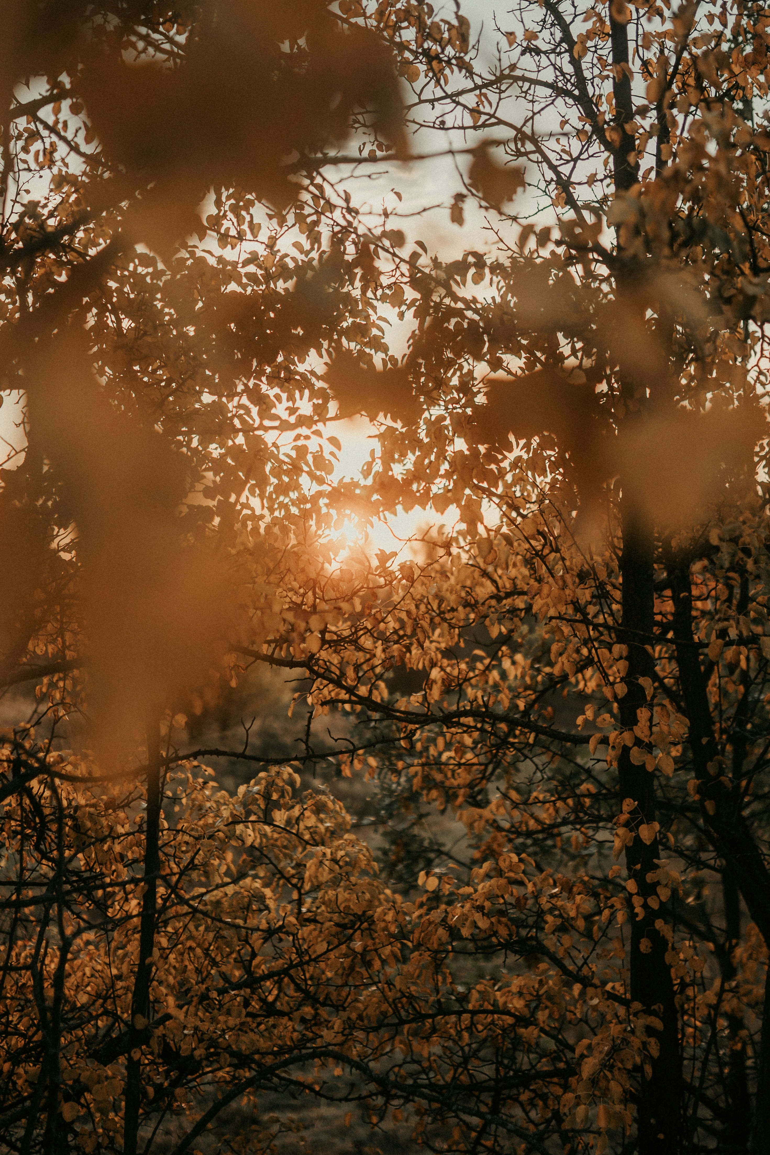 Photo by luiseandnic