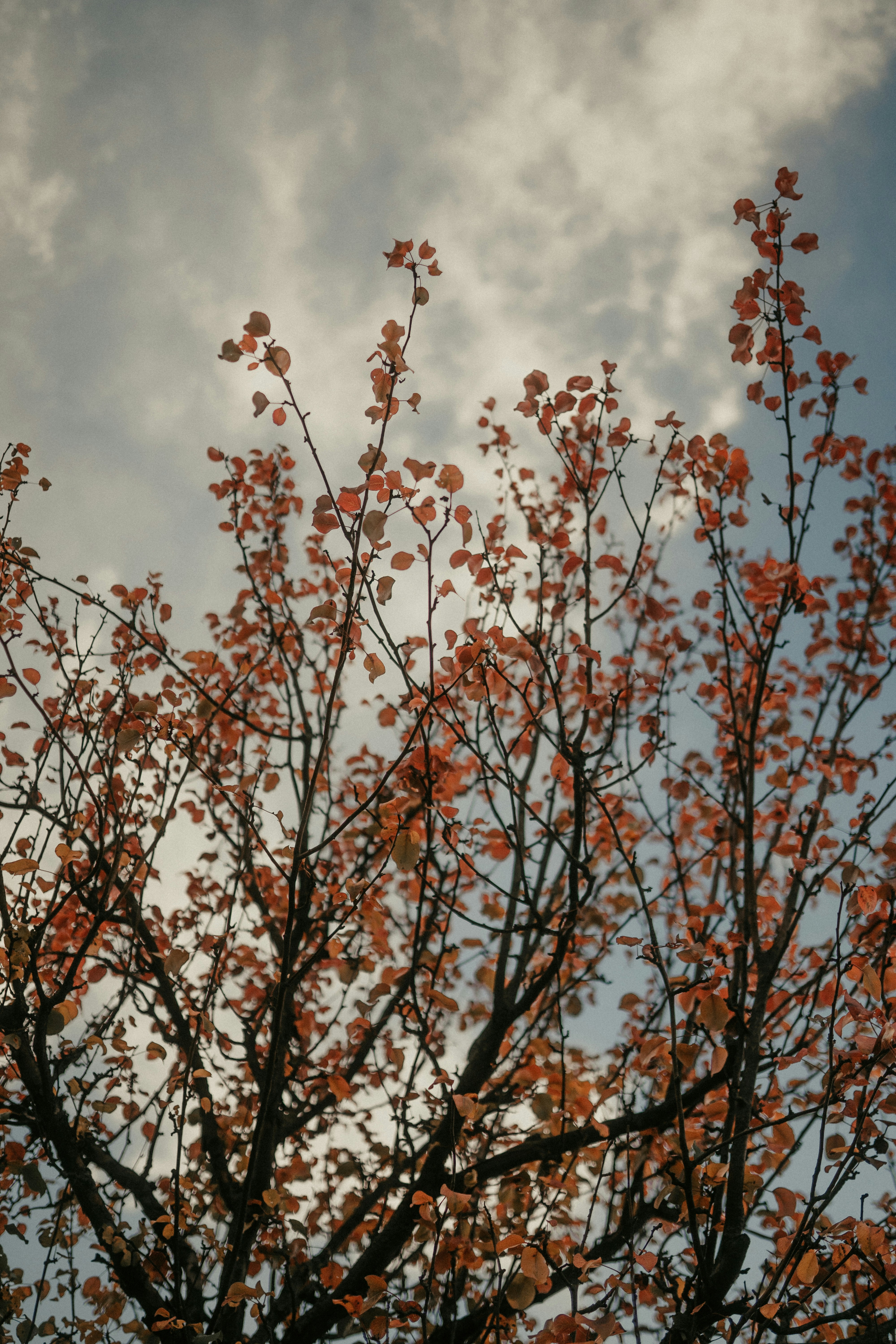 Photo by luiseandnic