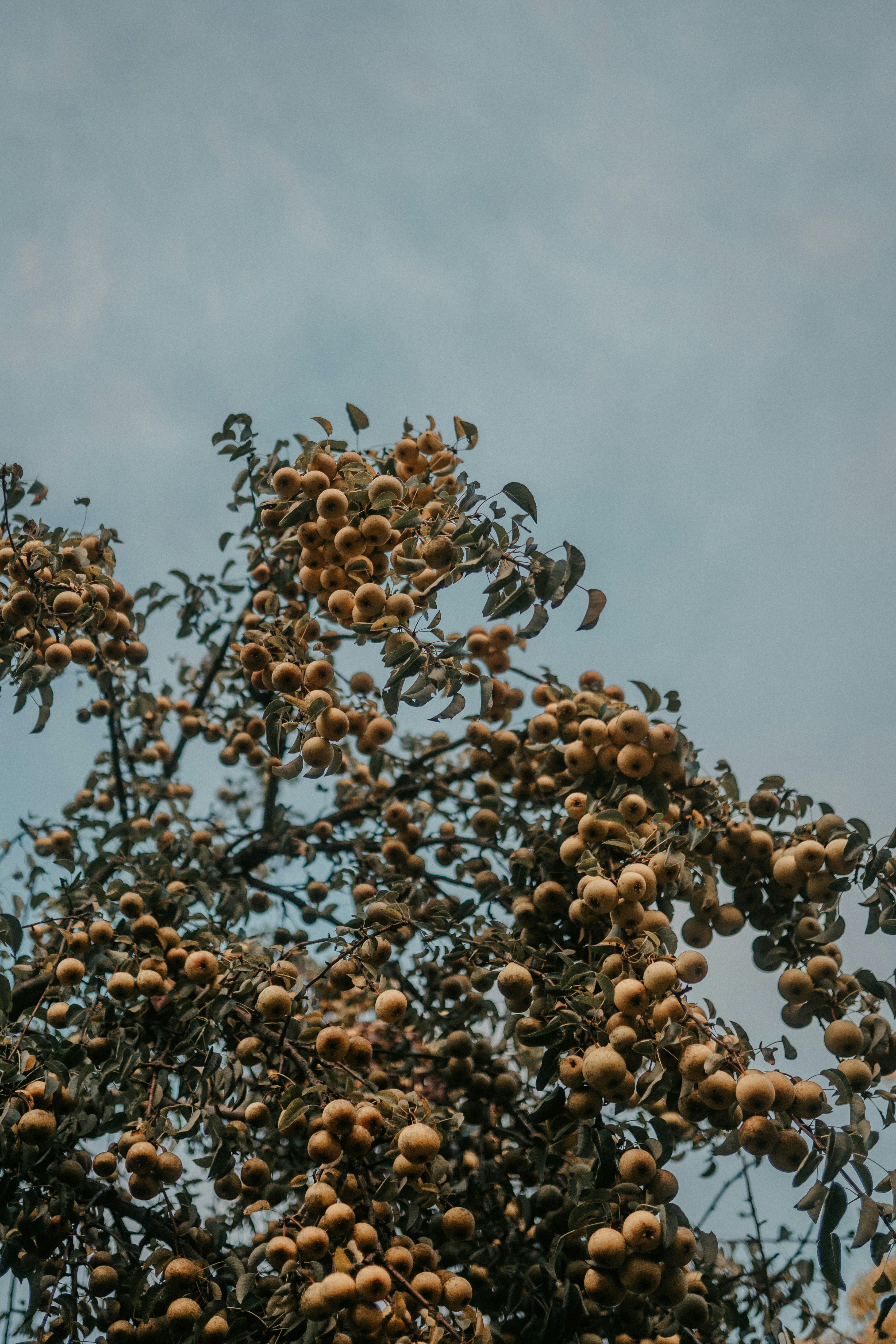 Photo by luiseandnic