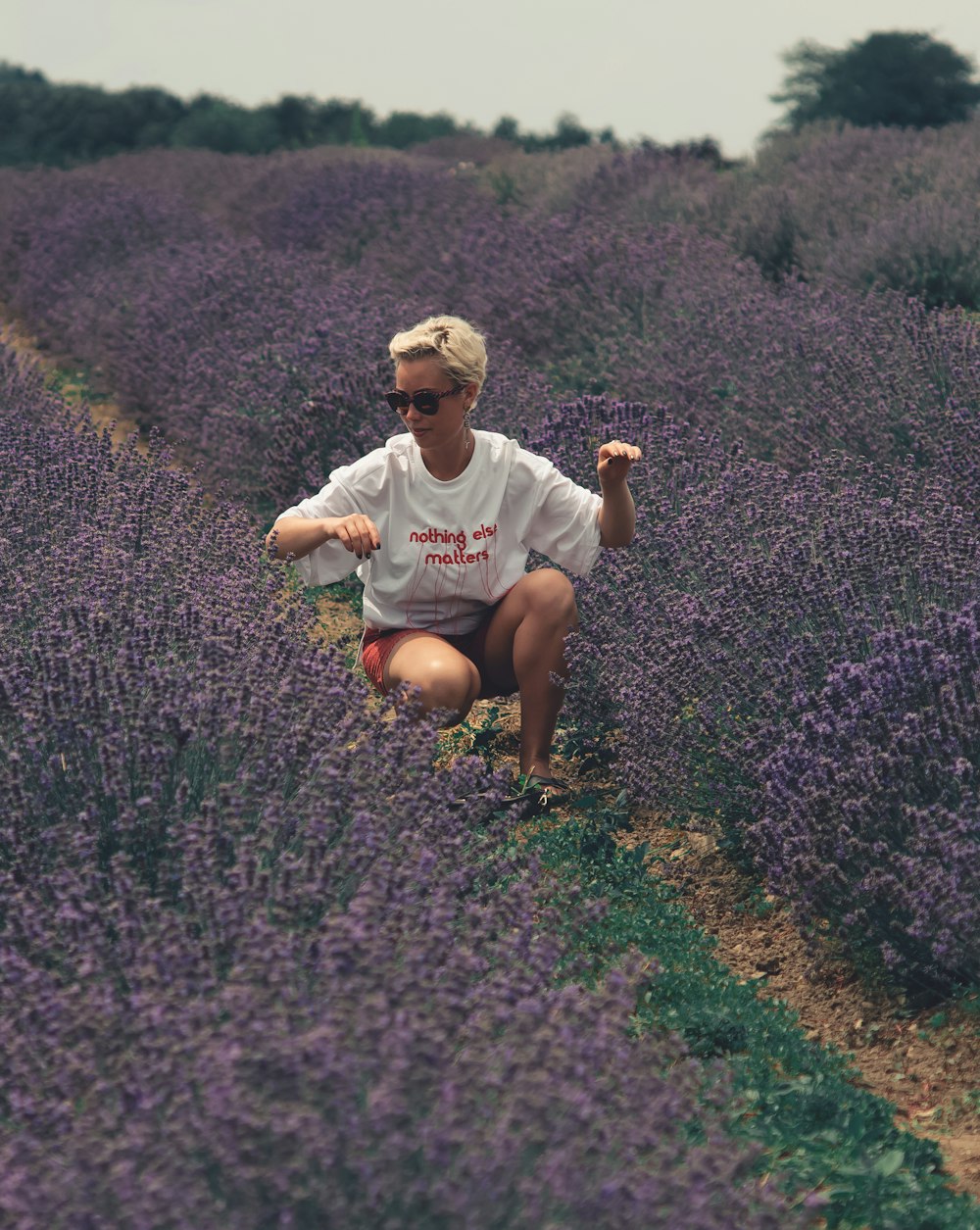 man in white crew neck t-shirt sitting on purple flower field during daytime