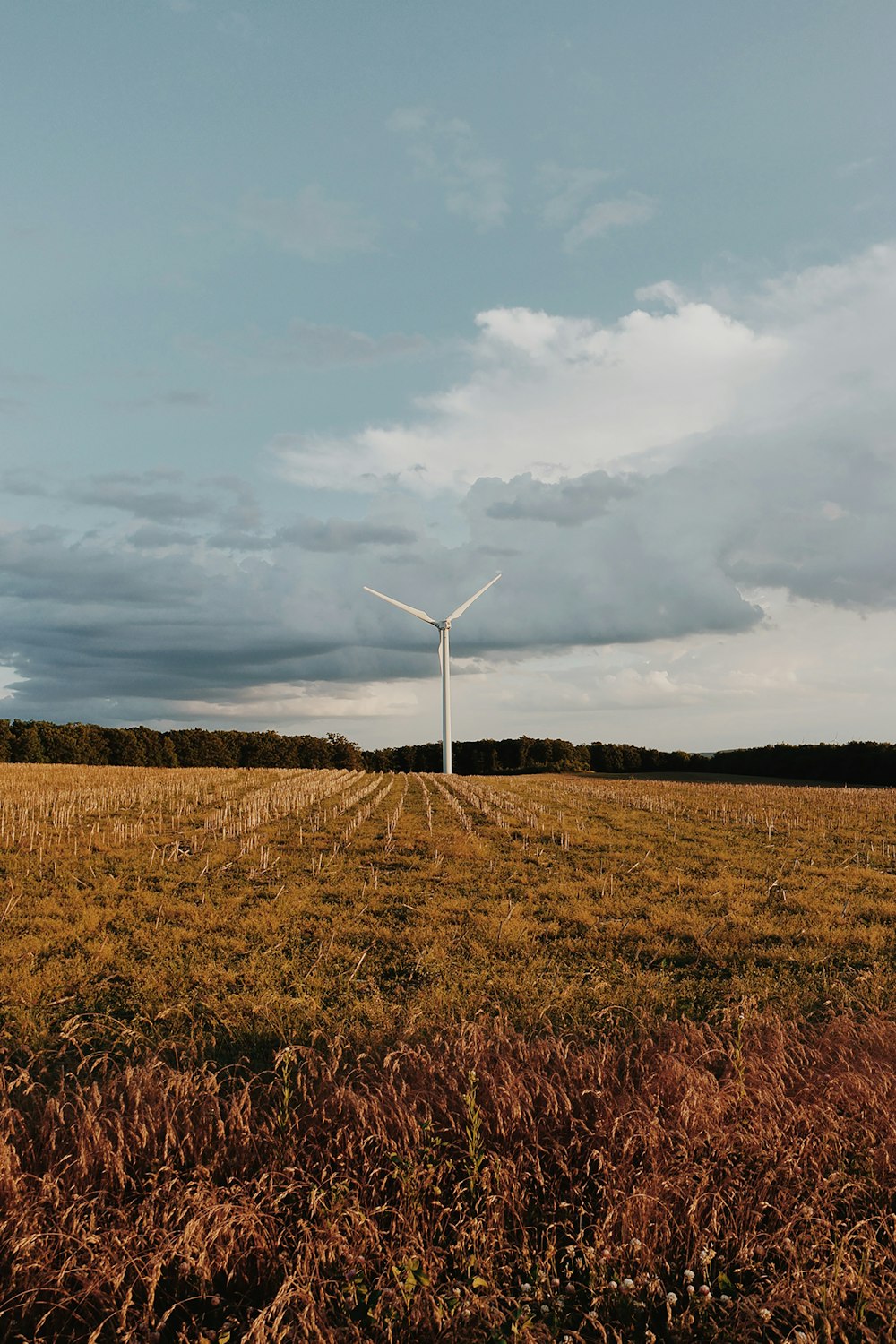 white wind mill on brown grass field under white clouds during daytime