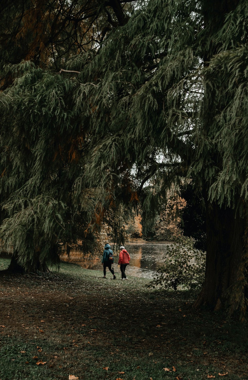 2 person walking on dirt road near trees during daytime