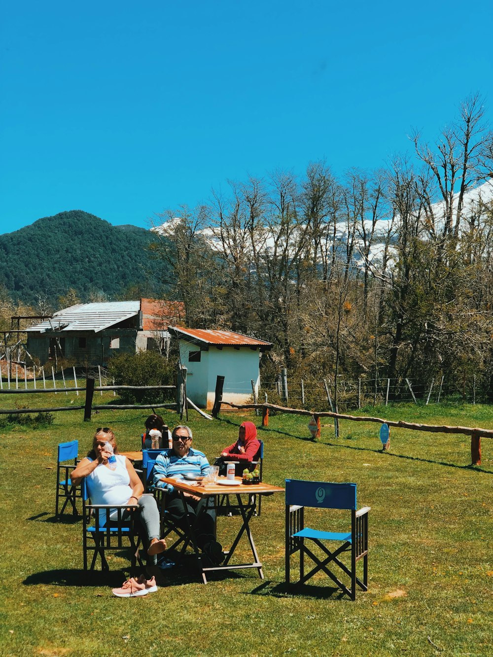 people sitting on blue chairs on green grass field during daytime