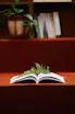 green and white book on brown wooden table