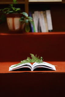 green and white book on brown wooden table
