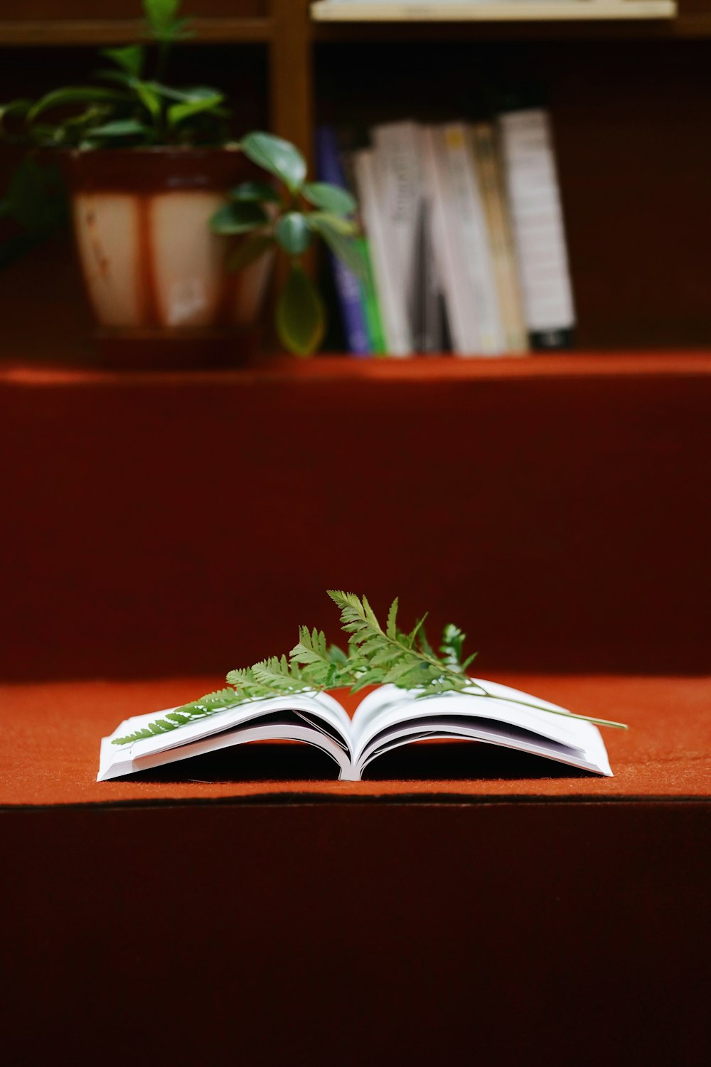 green and white book on brown wooden table