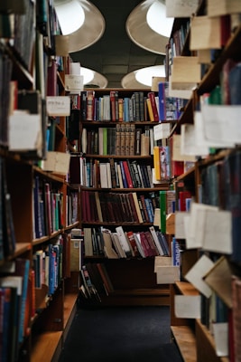 Books on wooden shelf