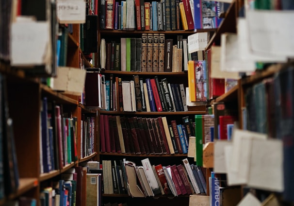 books on brown wooden shelf