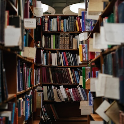 books on brown wooden shelf