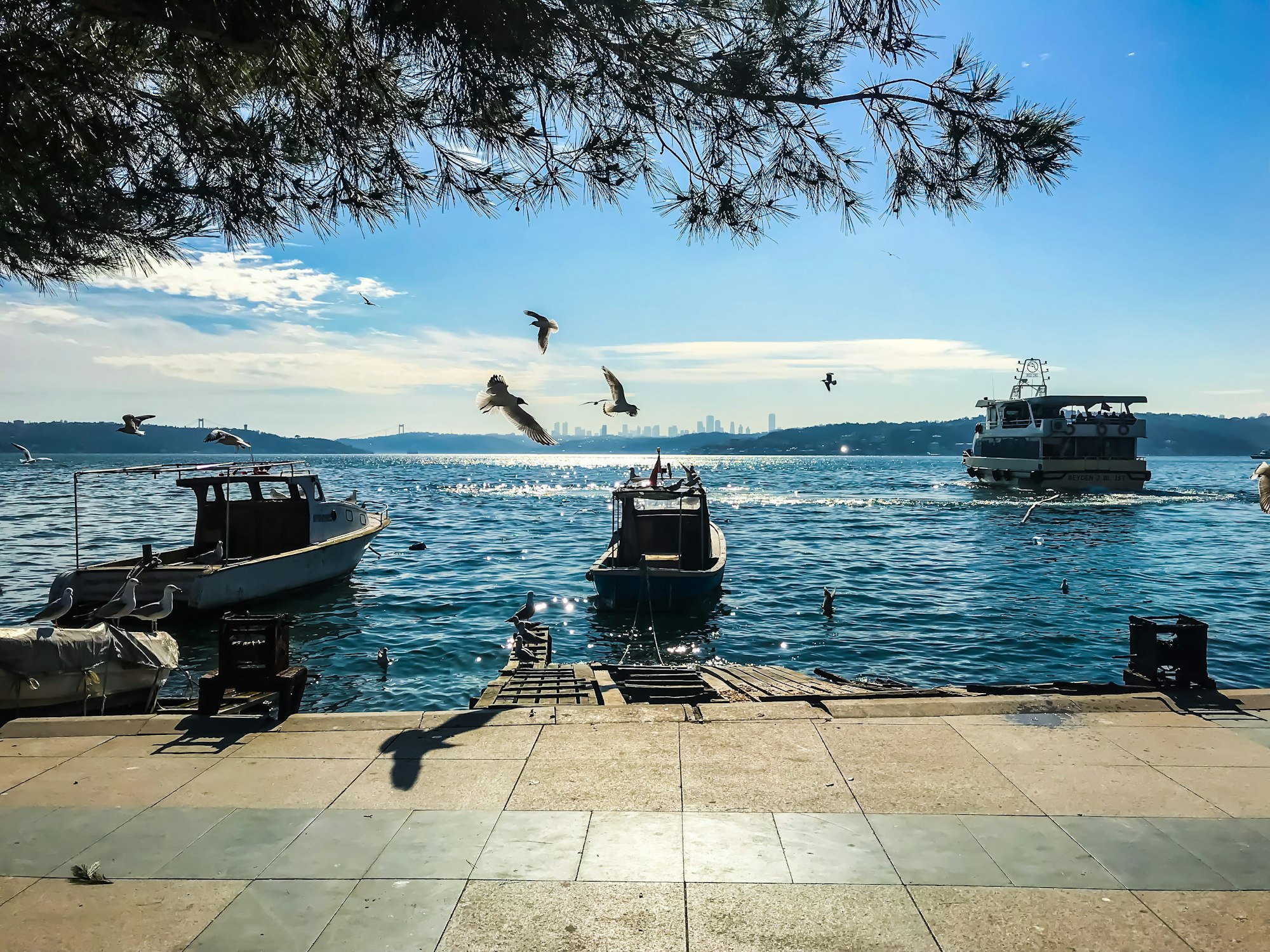 Ikamet — Turkey pomade beachfront route with fishing boats and seagulls soaring overhead