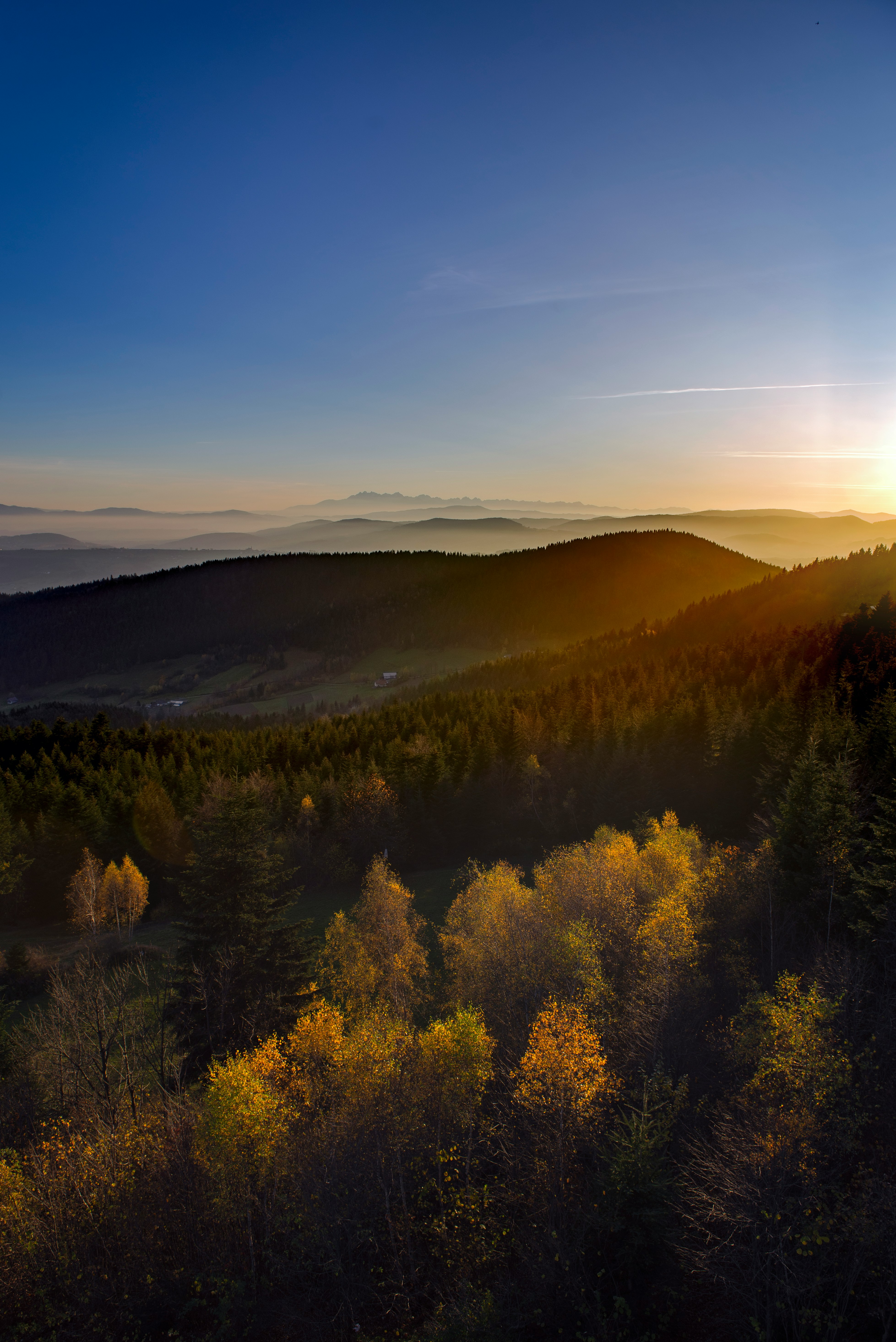 green trees on mountain under blue sky during daytime