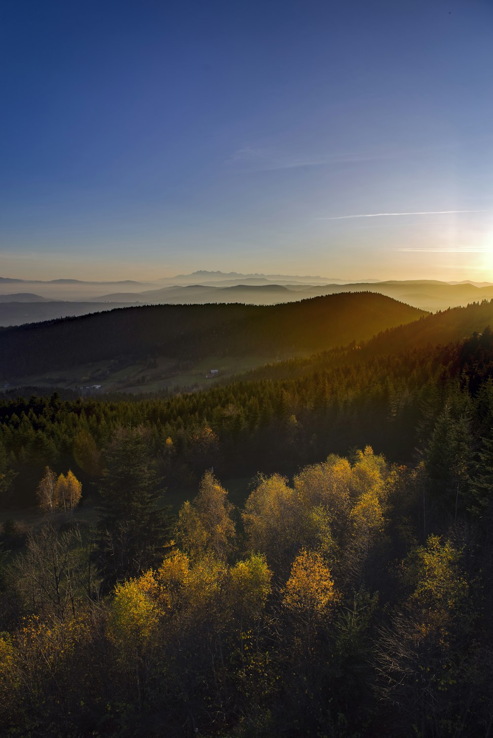 green trees on mountain under blue sky during daytime