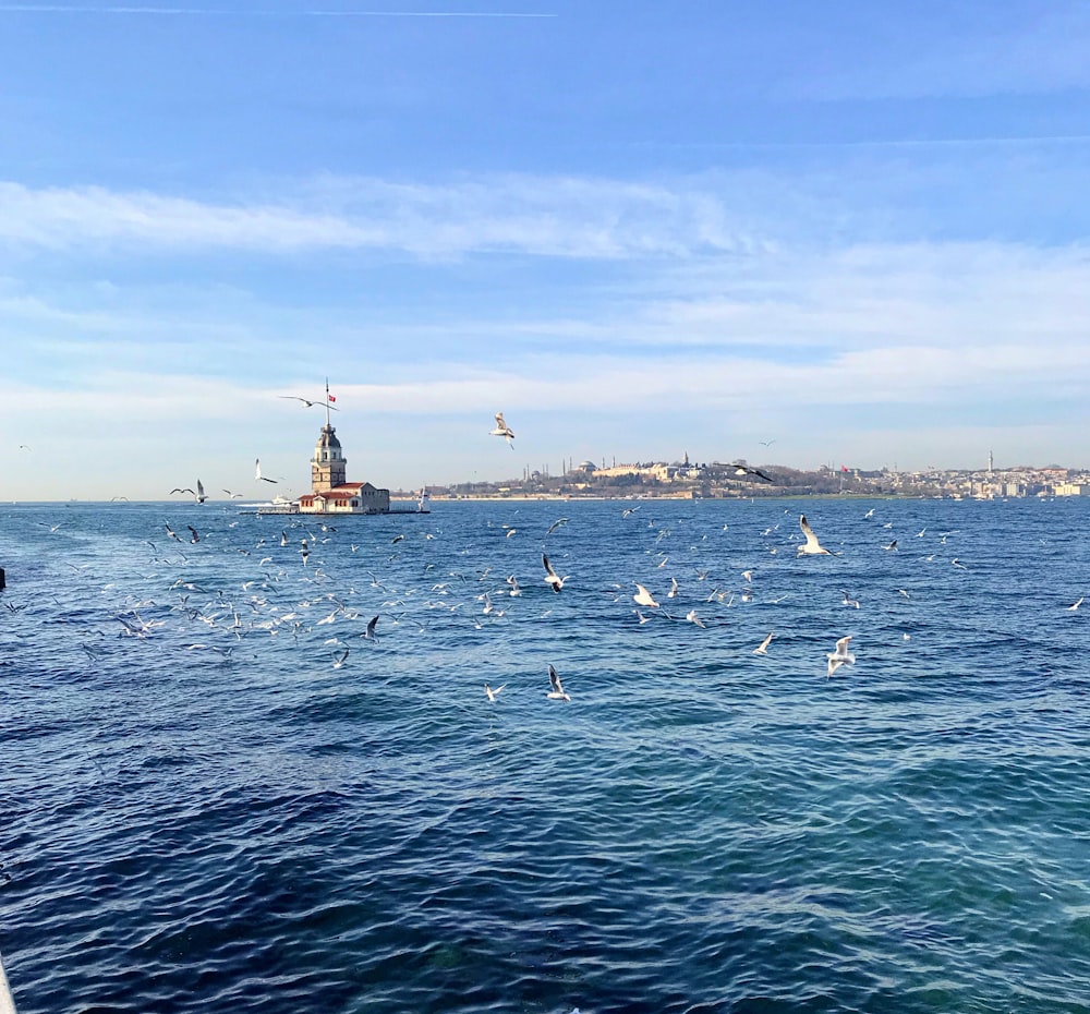 navire blanc et noir sur la mer sous le ciel bleu pendant la journée