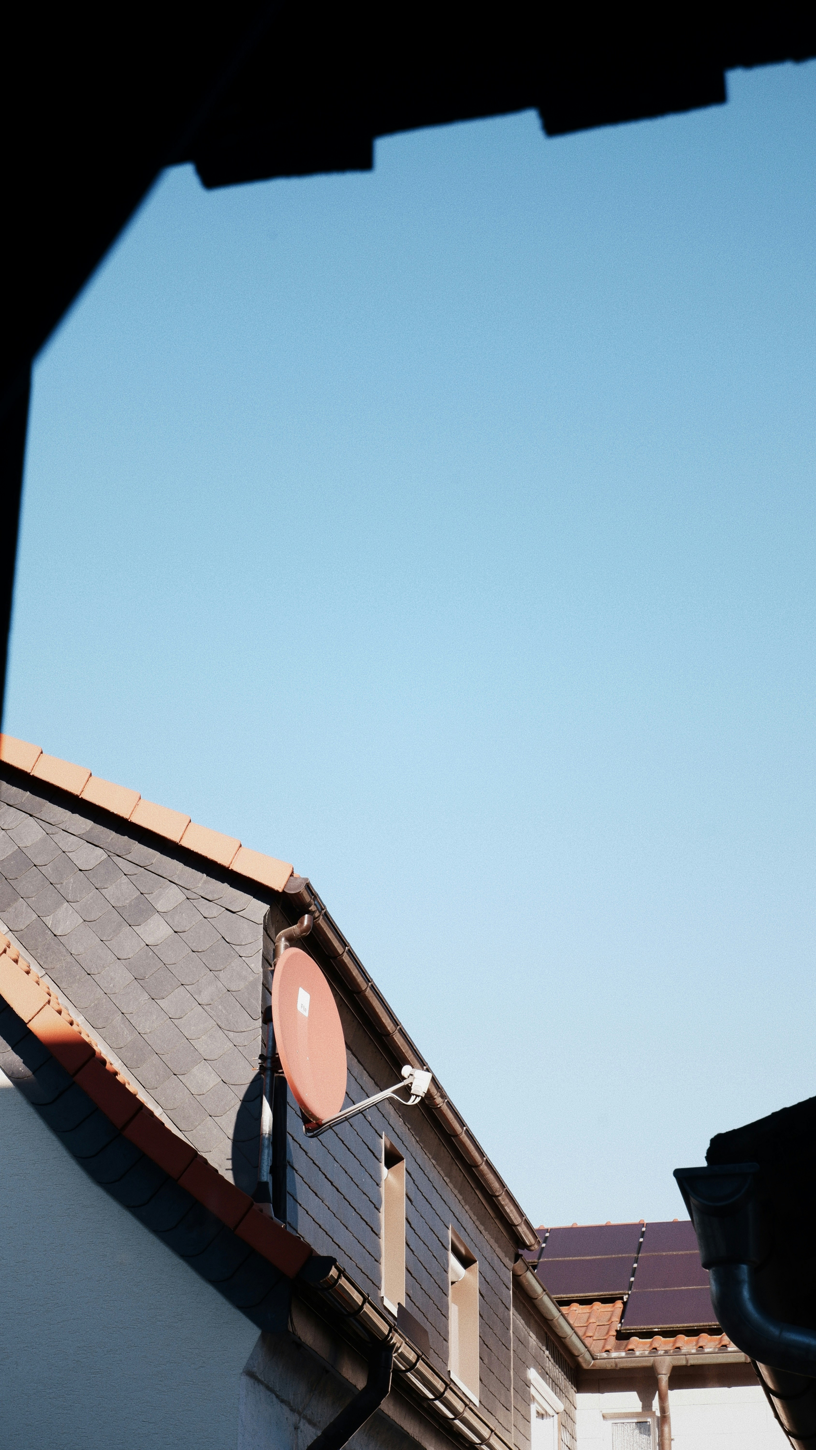 Photo by lucadahsavage