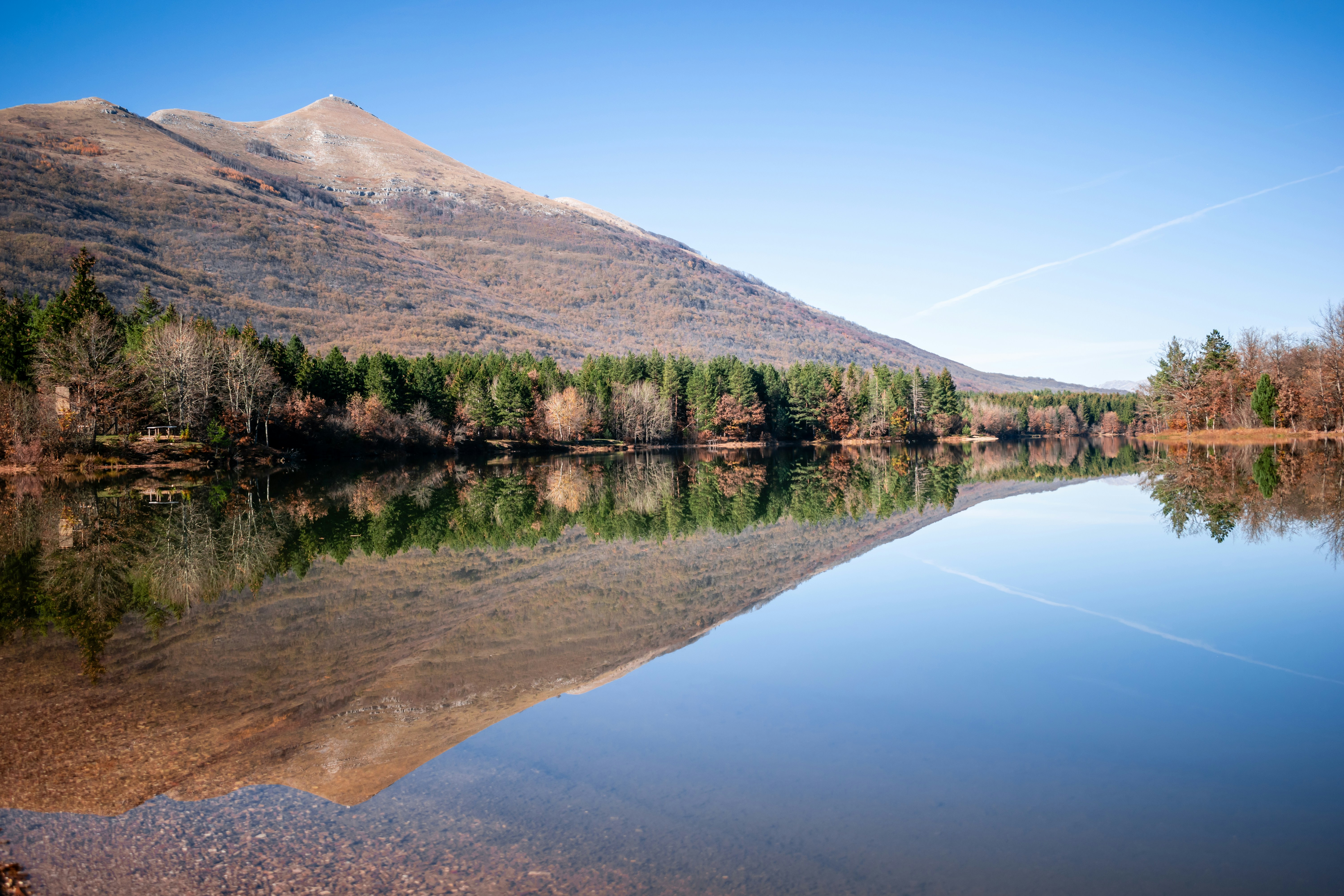 Photo by predraglasica