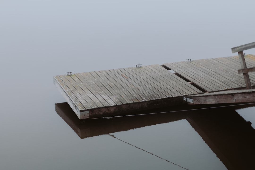 brown wooden dock on body of water during daytime