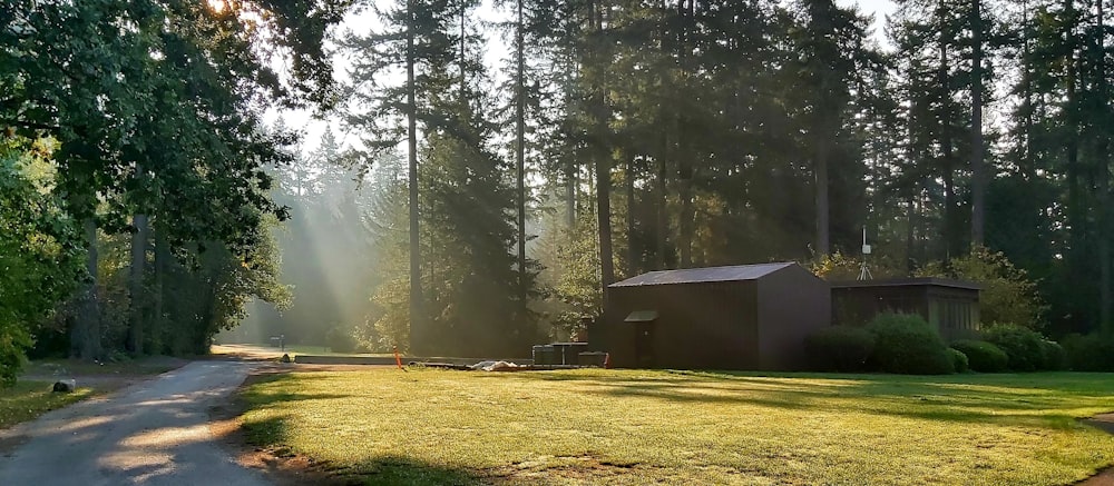 Maison blanche et grise entourée d’arbres verts