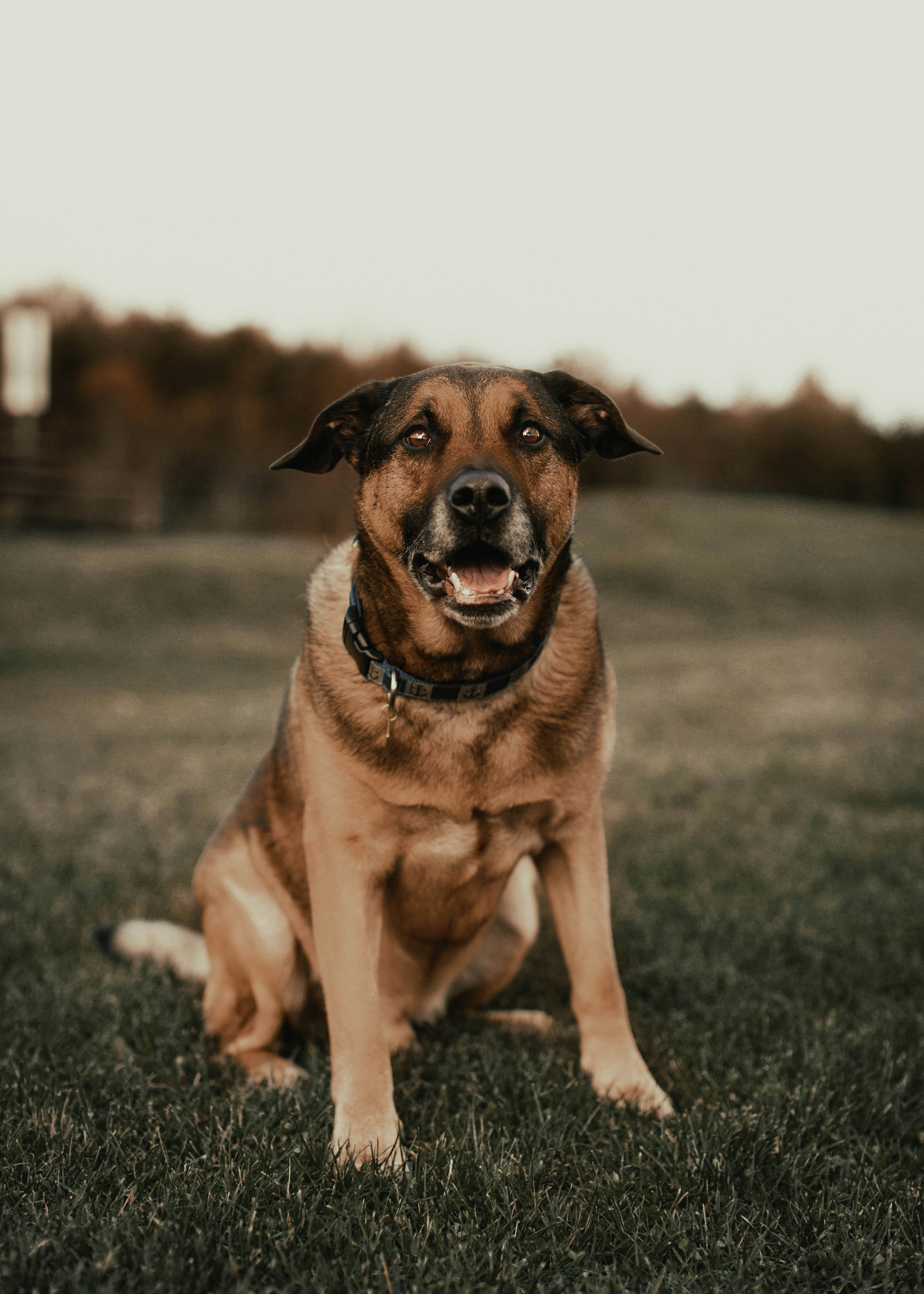 Photo by theshuttervision